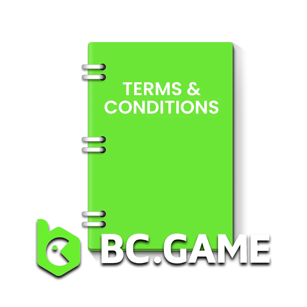 Learn the terms for the BCGame site.