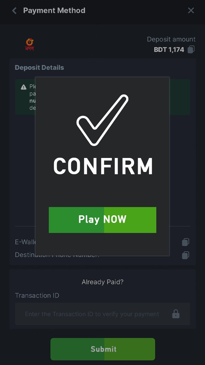 Wait until your BC Game account deposit is replenished and start betting.