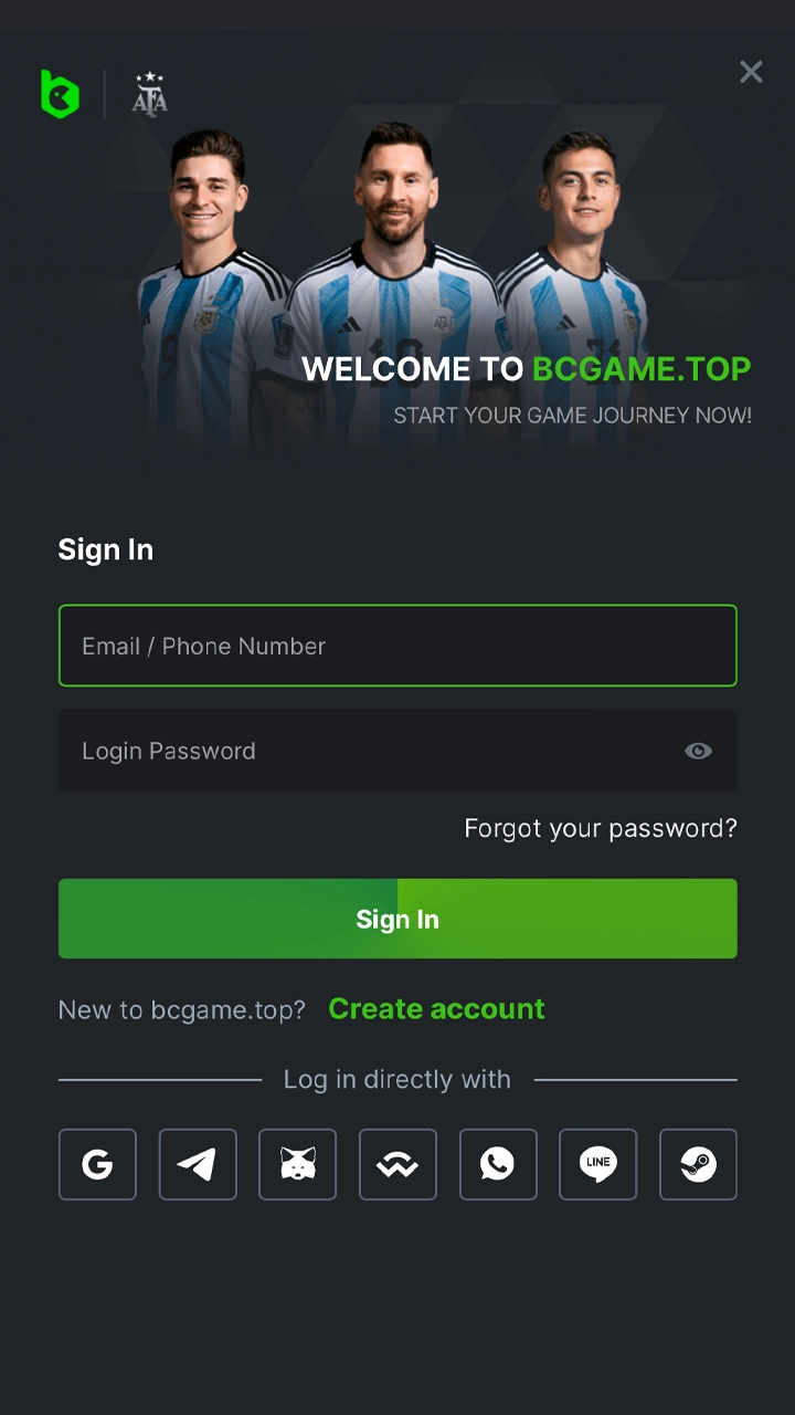 Log in to your personal BC Game account.