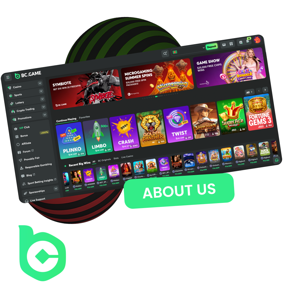 We will tell you everything about the BCGame website team.