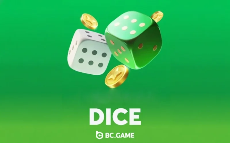 Play Dice on BC Game and test your luck with high volatility action.