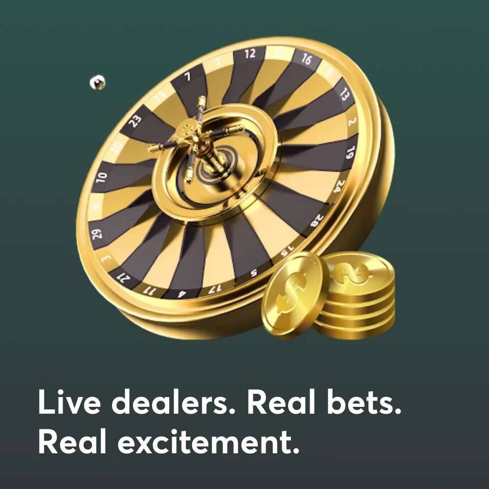 Play on BC Game with live dealers and enjoy real excitement.