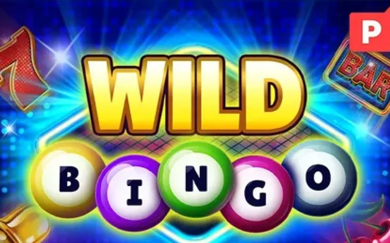 Play Wild Bingo by Platipus and enjoy thrilling wins on BC Game.
